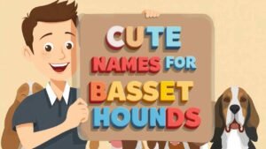 cute names for basset hounds