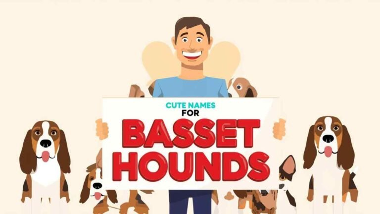 cute names for basset hounds