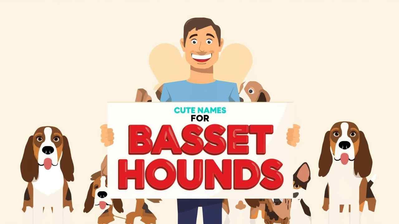 cute names for basset hounds