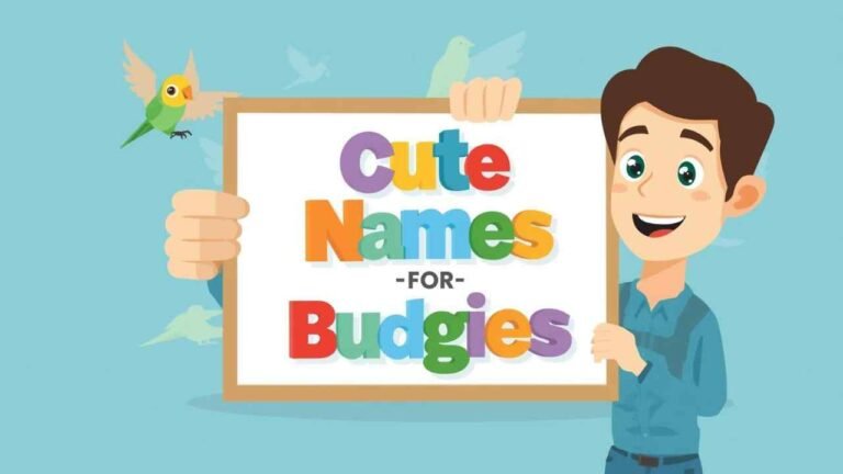 cute names for budgies