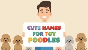 cute names for toy poodles