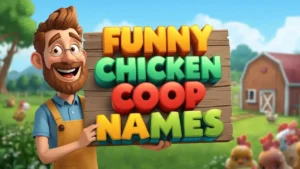 funny chicken coop names