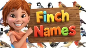Finch Names
