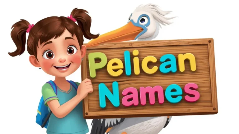 Pelican Names